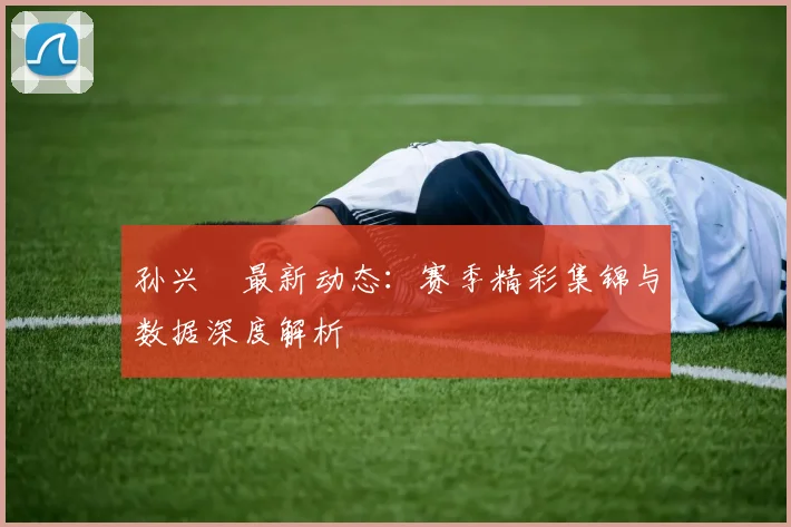 孙兴慜最新动态:赛季精彩集锦与数据深度解析